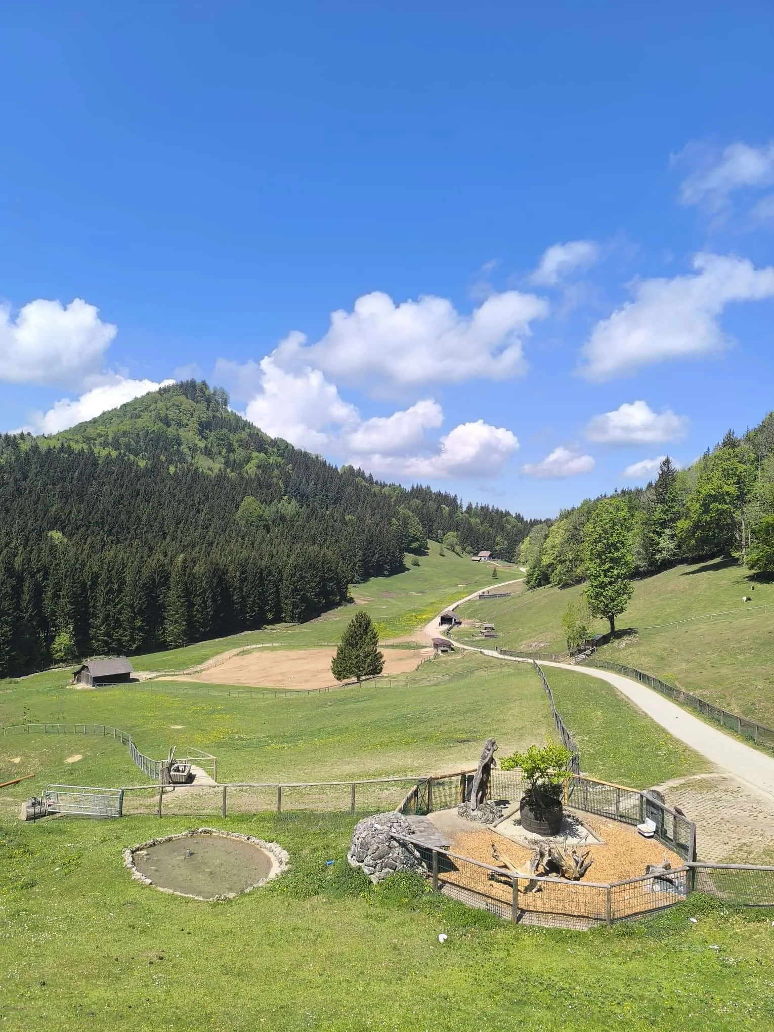 Hochsteinalm (907m)
