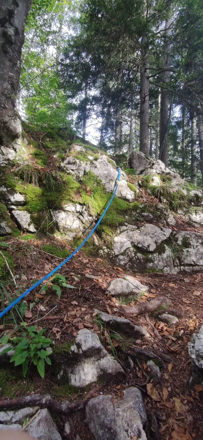 Mit Getränkebrunnen