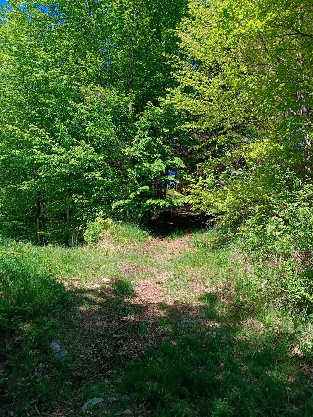 Gipfel mit Ausblick