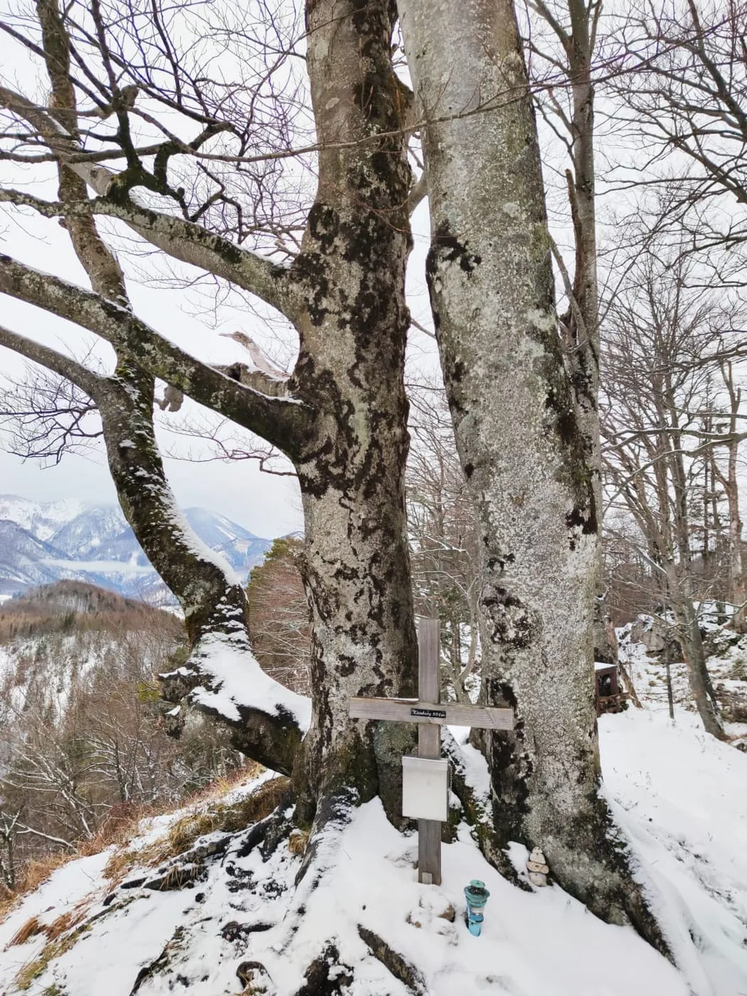 Kienberg (801m) bei Schön/Micheldorf
