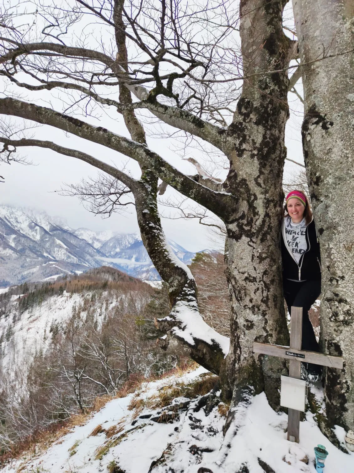 Kienberg (801m) bei Schön/Micheldorf