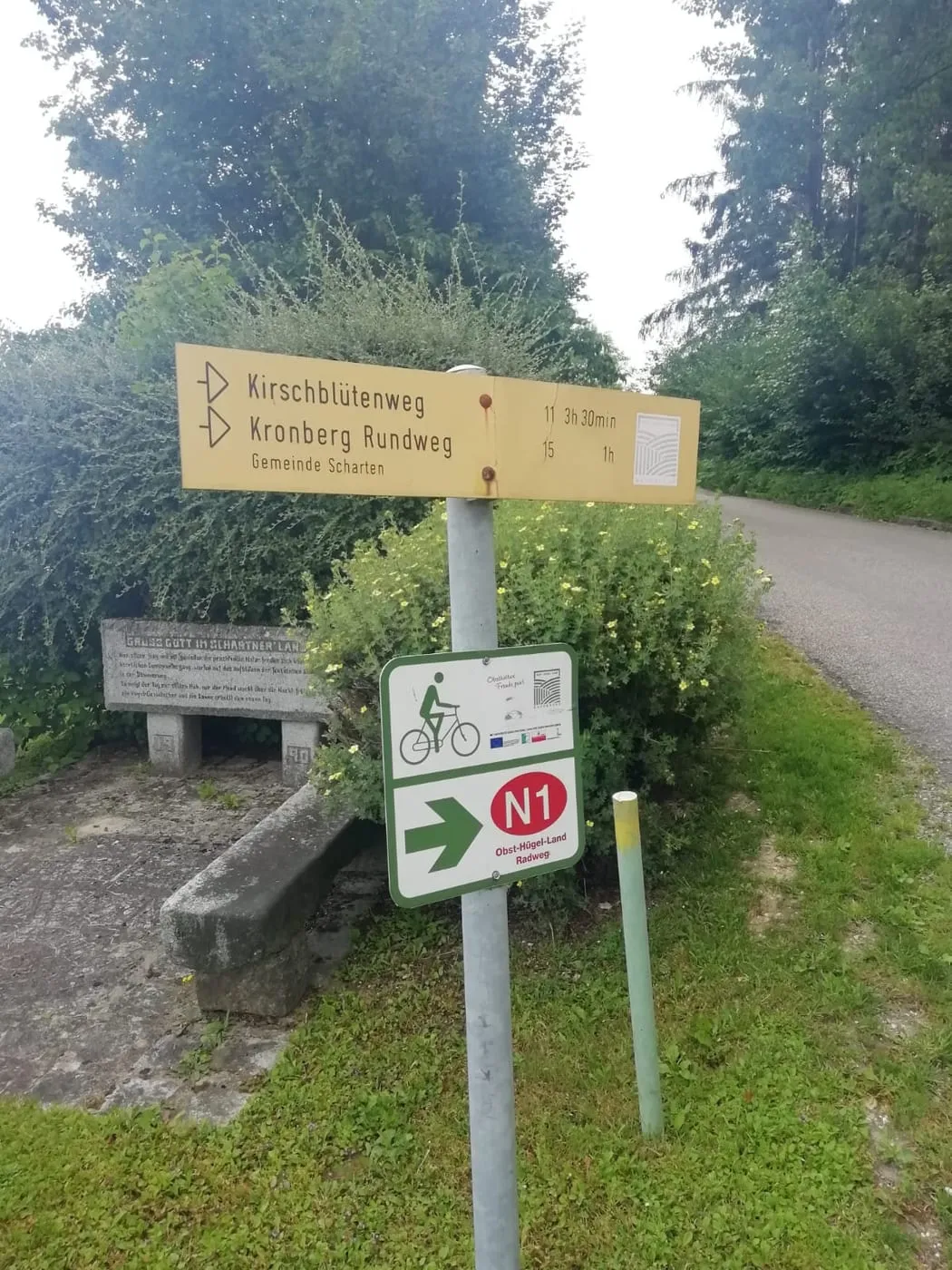 Kirschblütenwanderung Scharten