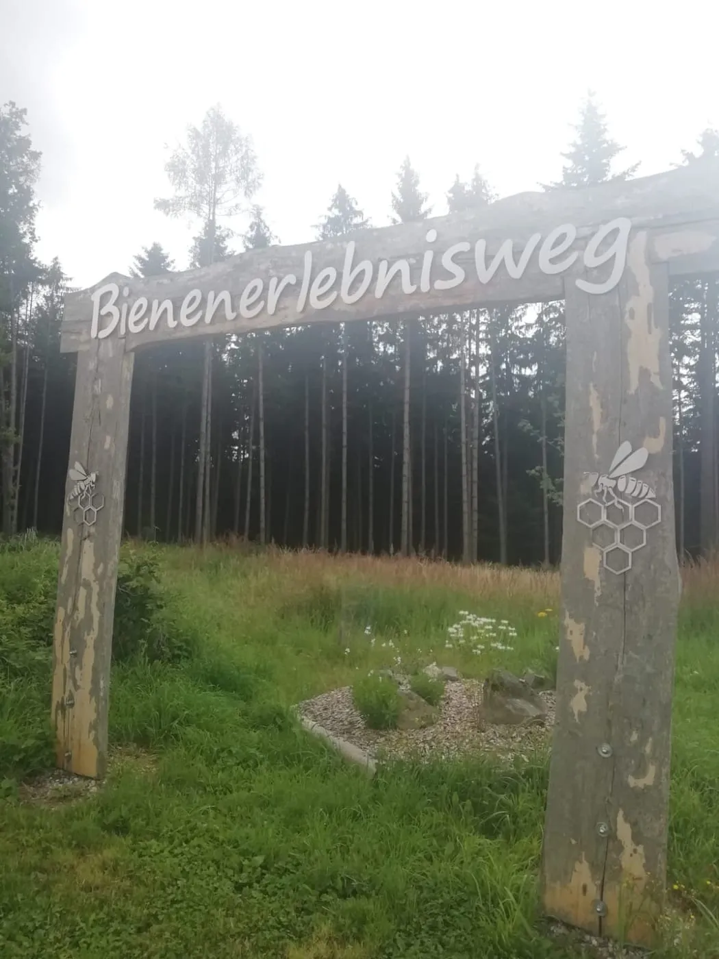 Kirschblütenwanderung Scharten