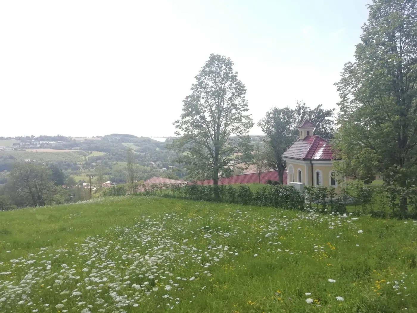 Kirschblütenwanderung Scharten