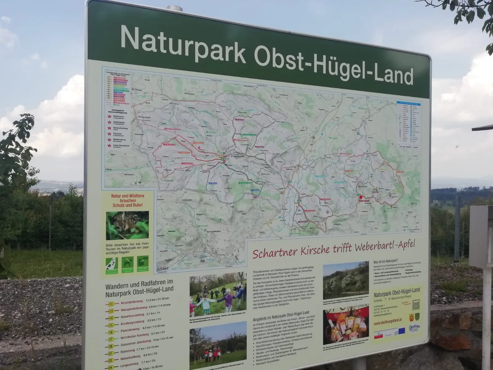 Kirschblütenwanderung Scharten