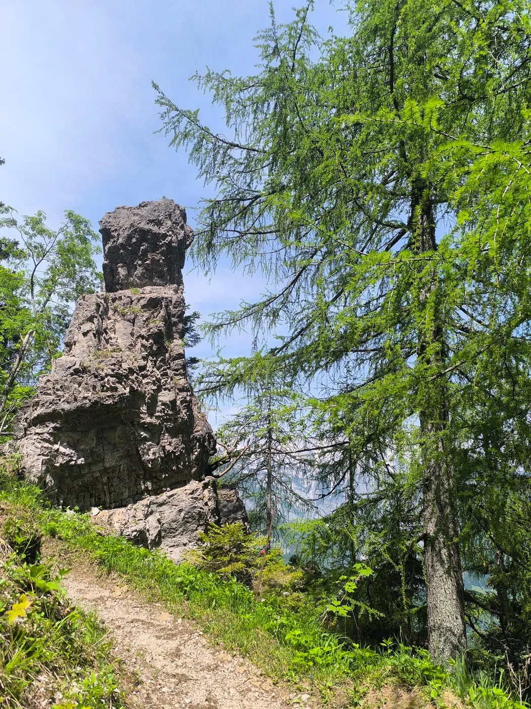 Kleine Scheibe (1836) via Schafferreith und Bärenalm