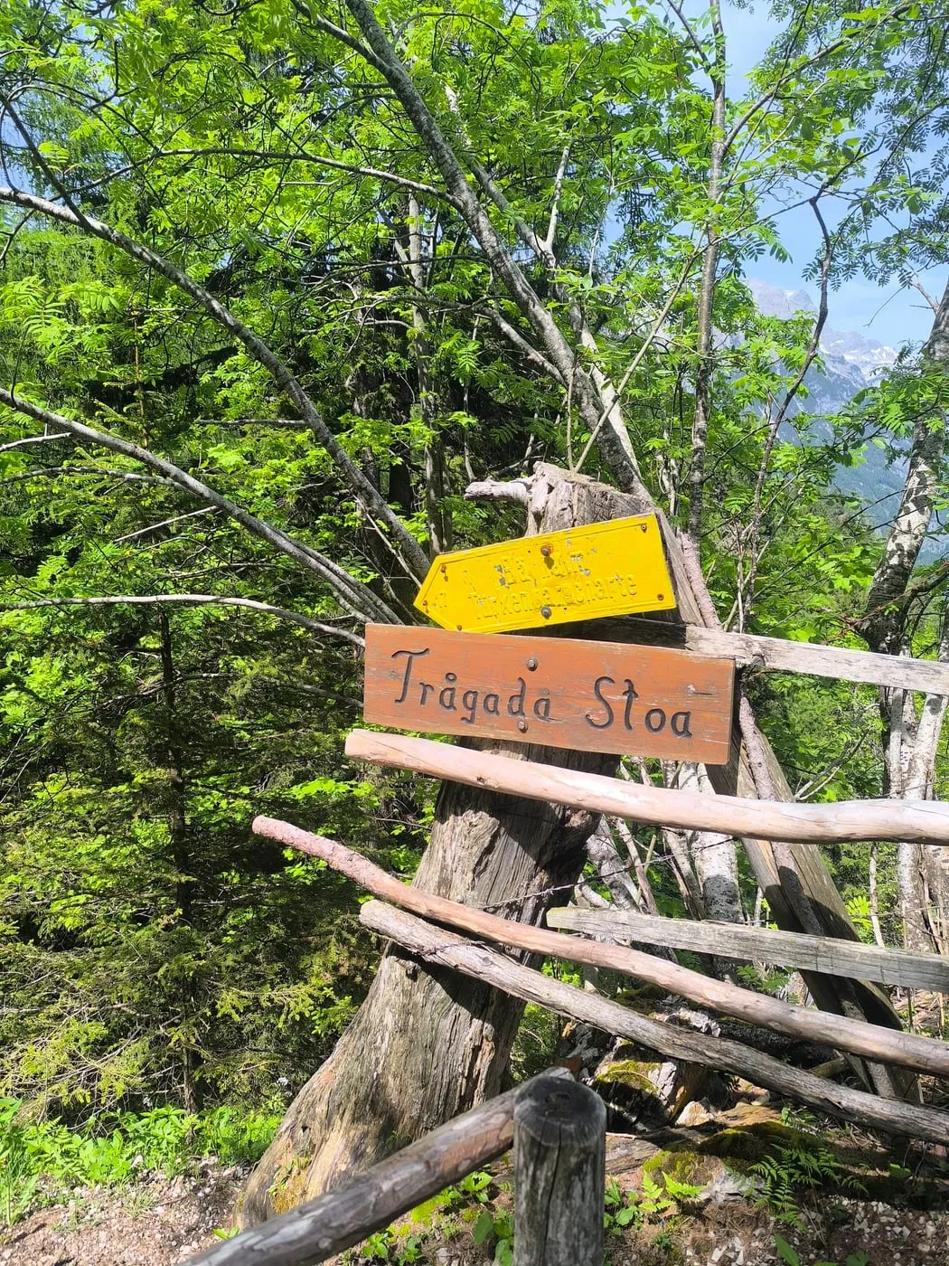 Kleine Scheibe (1836) via Schafferreith und Bärenalm