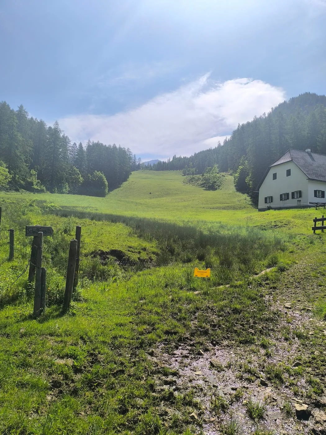 Kleine Scheibe (1836) via Schafferreith und Bärenalm