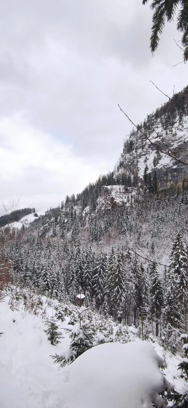 Kleiner & Großer Klammberg (959m) in Roßleithen