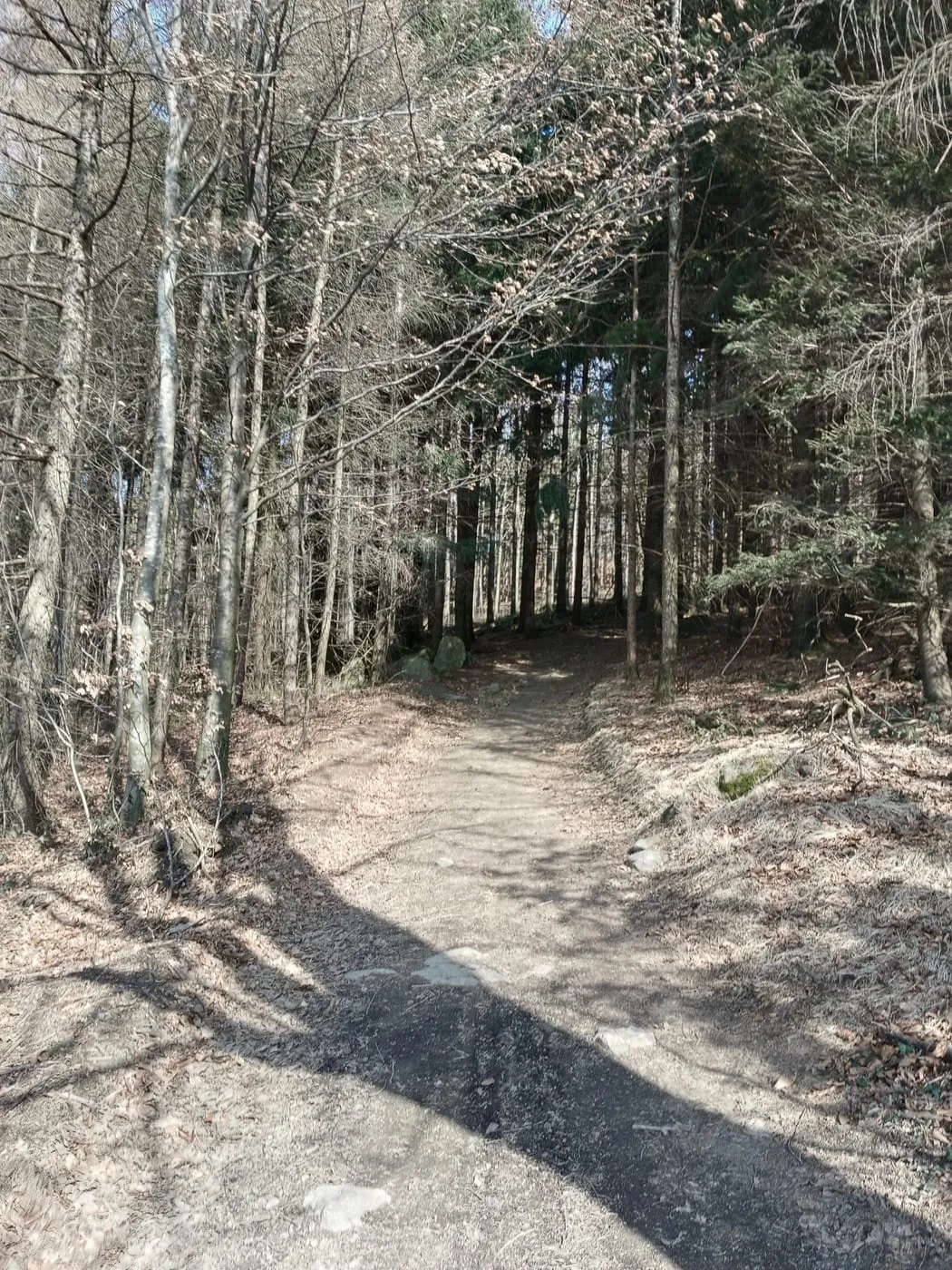 Dann ab in den Wald!