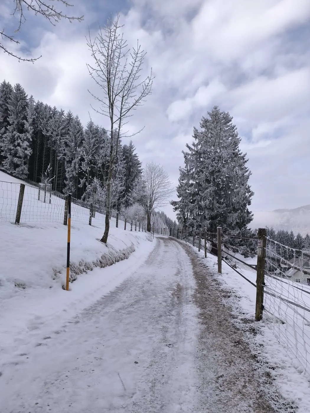 Kollmannsberg (957m) von Neukirchen bei Altmünster