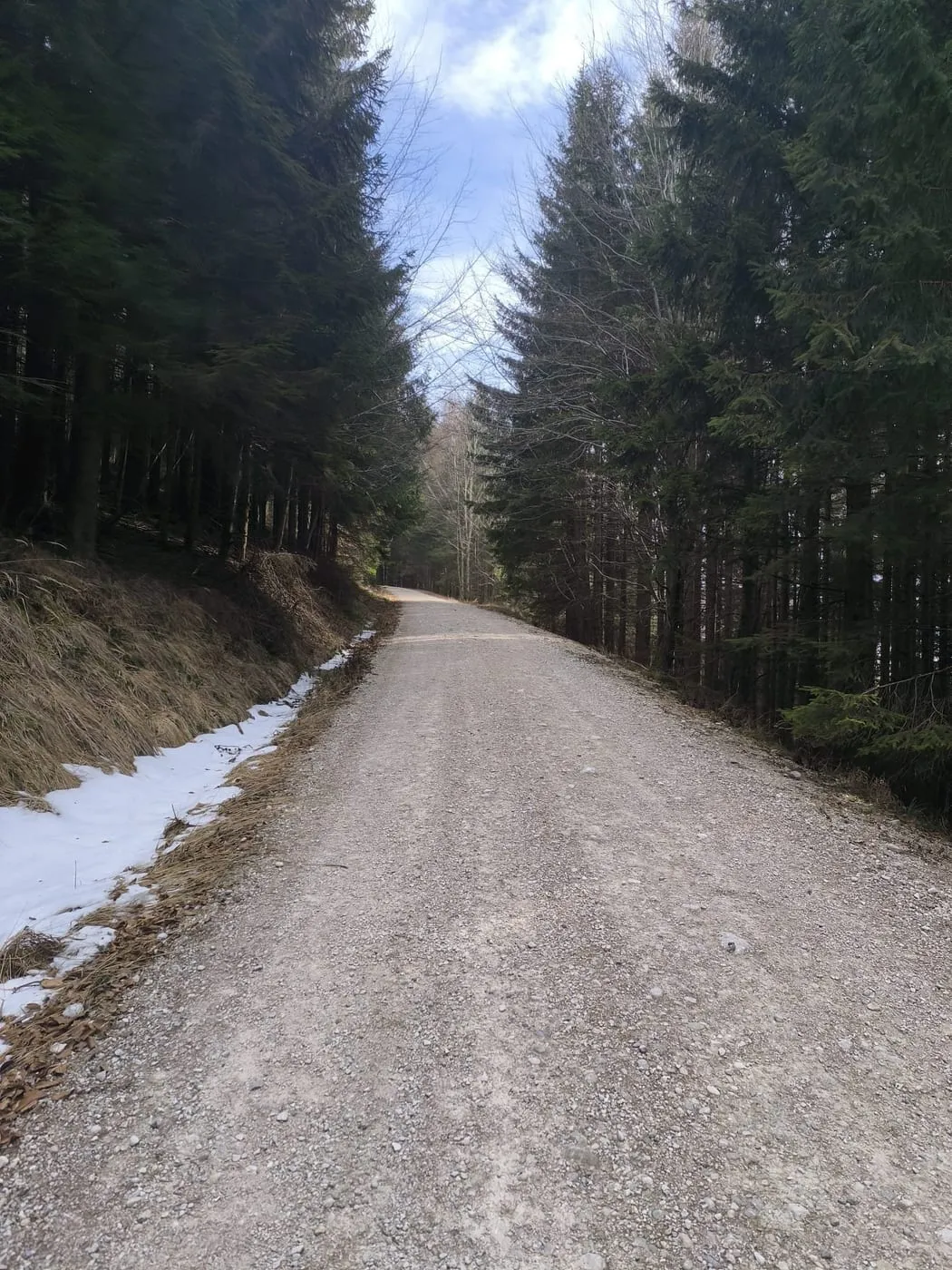 Kollmannsberg (957m) von Neukirchen bei Altmünster