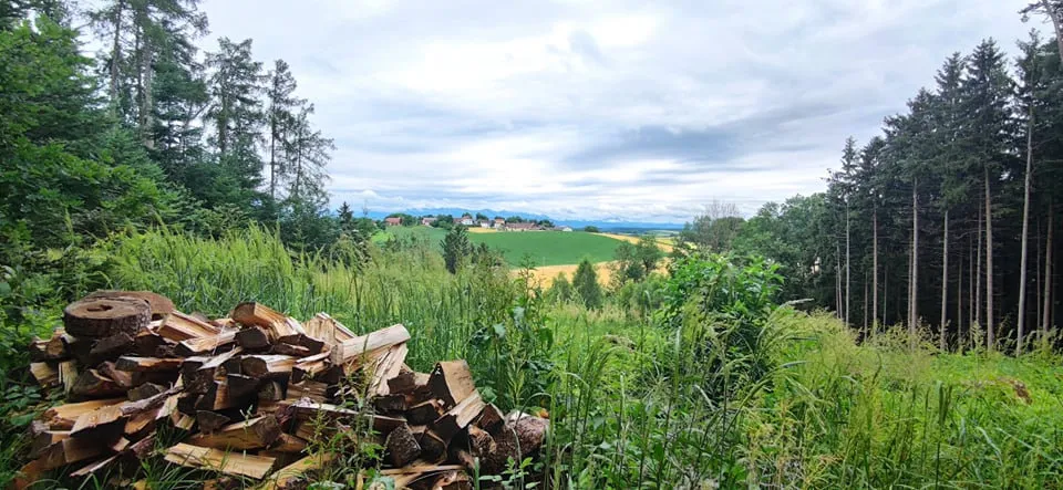 Krailberg (504m) Gipfel in Wels-Land