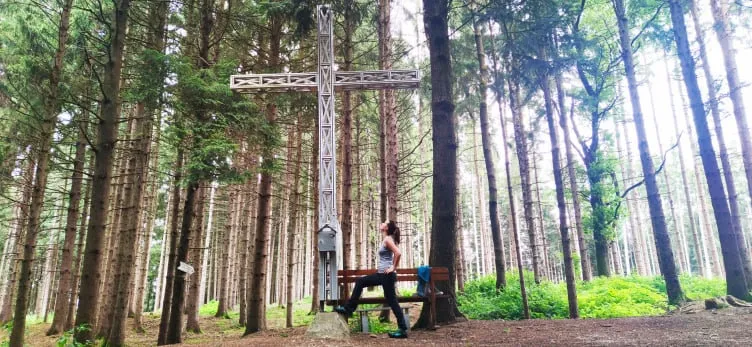 Krailberg (504m) Gipfel in Wels-Land