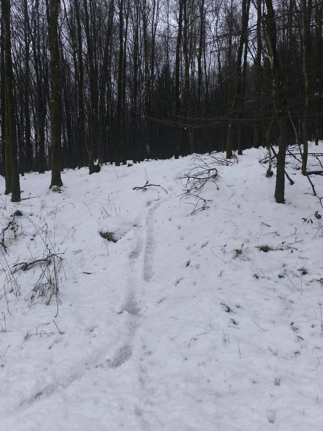 Kürnberg (526m) via Aichberg