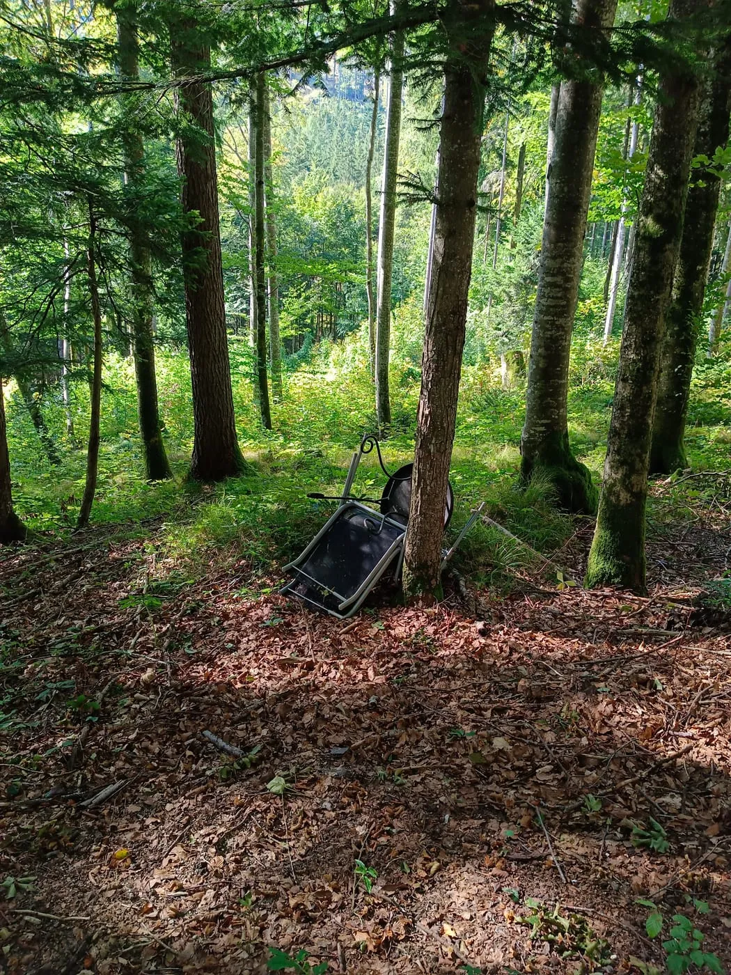 Kunzenberg (750m)