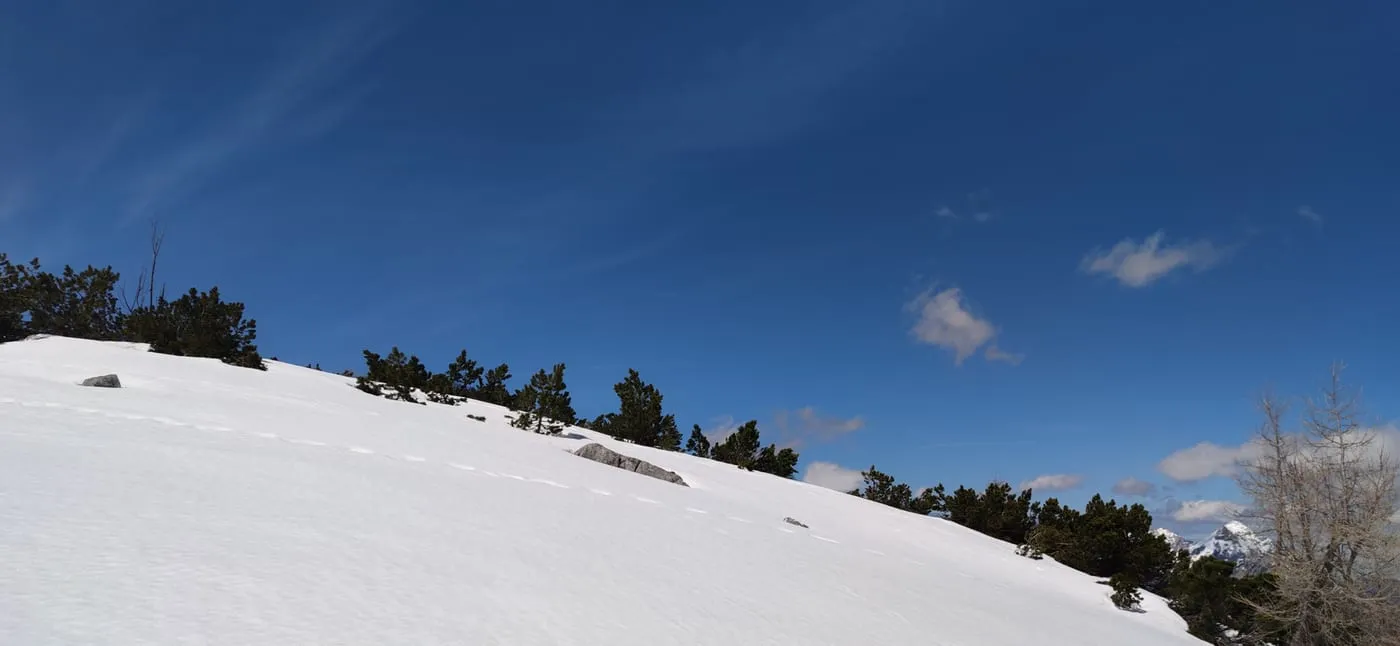 Schallerkogel (1874m), Lagelsberg (2014m) und Einkehr Zeller Hütte (1575m)