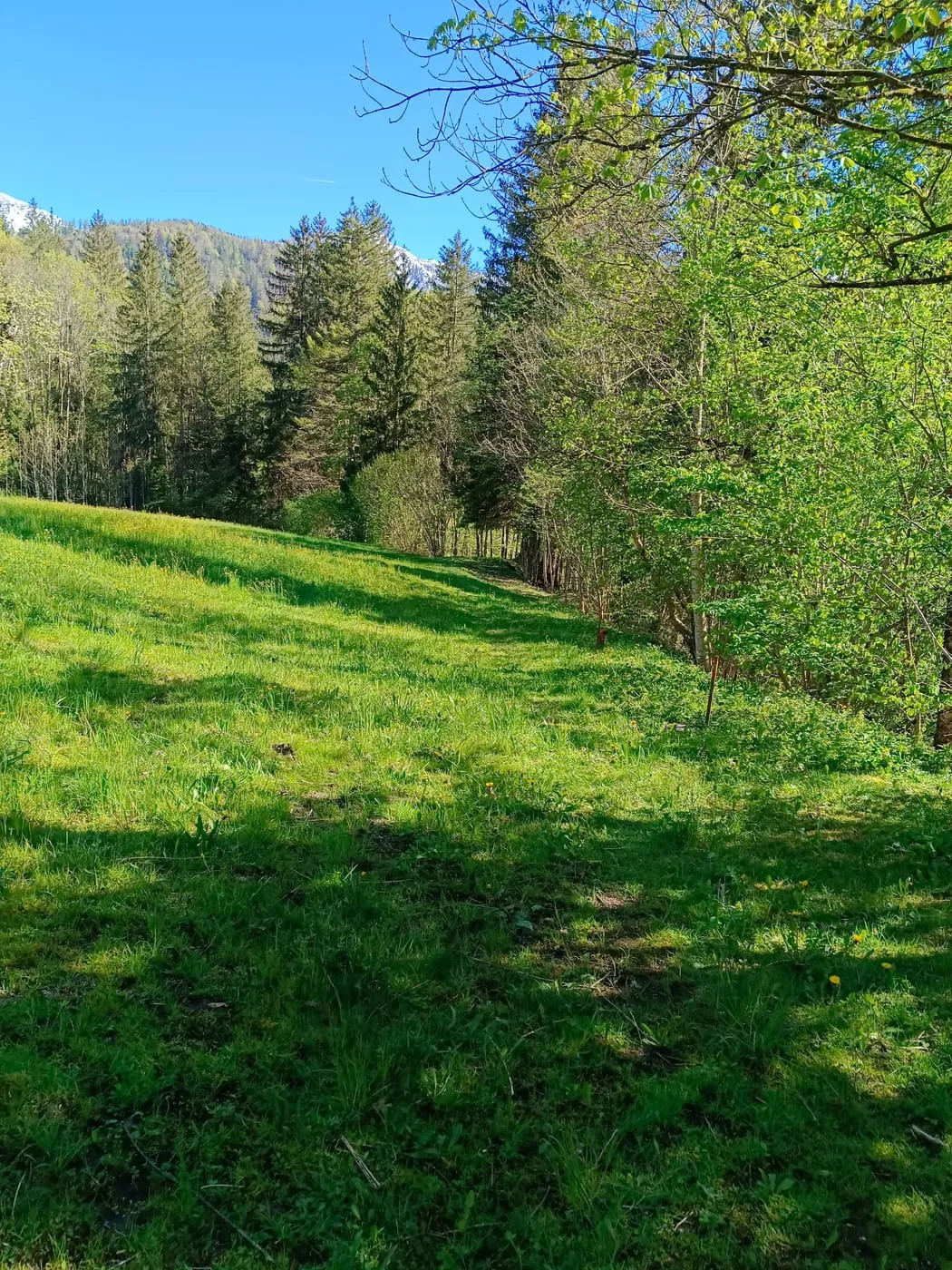 Lainberg