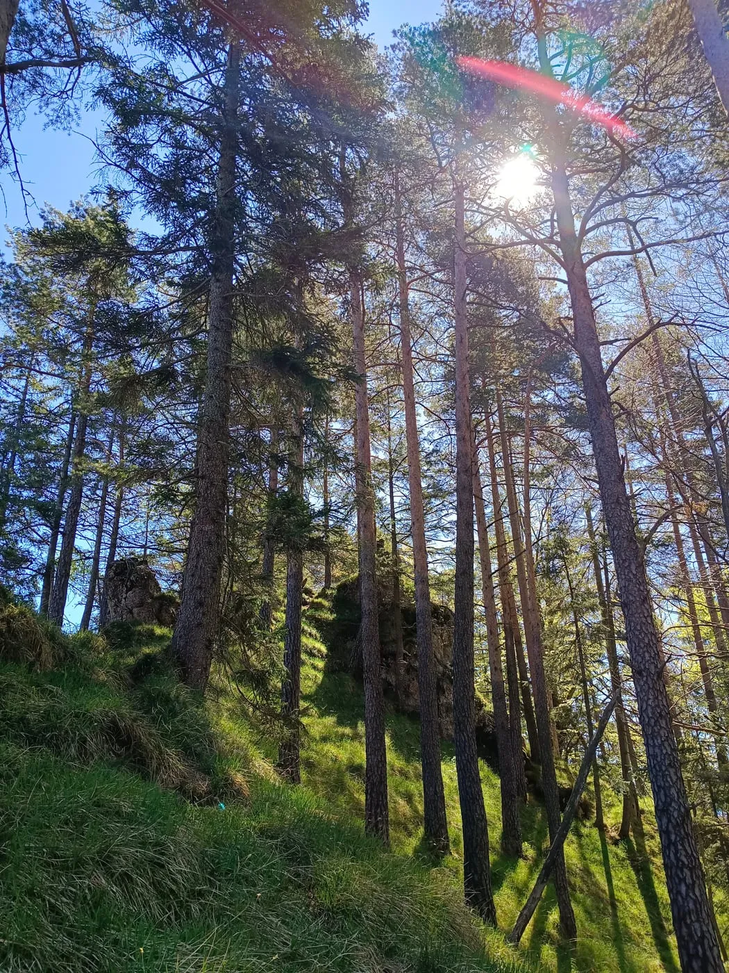 Hier kam ich raus