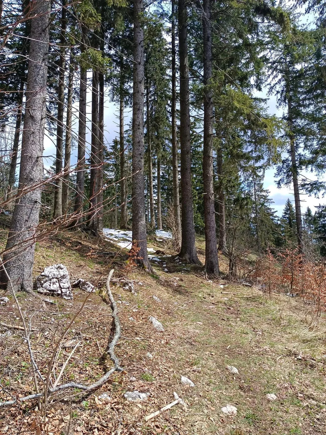 Hier vorbei