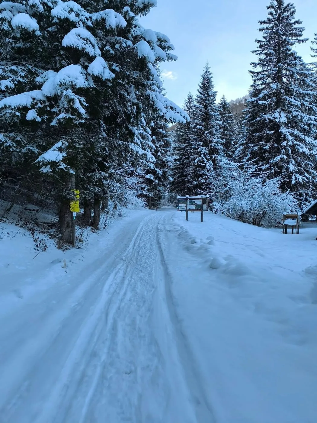 Blick zur Hiaslalm