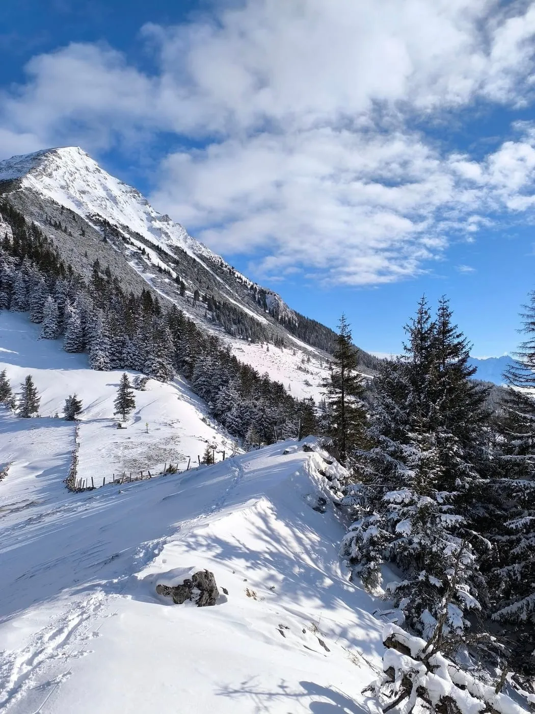 Lugkogel (1447m)