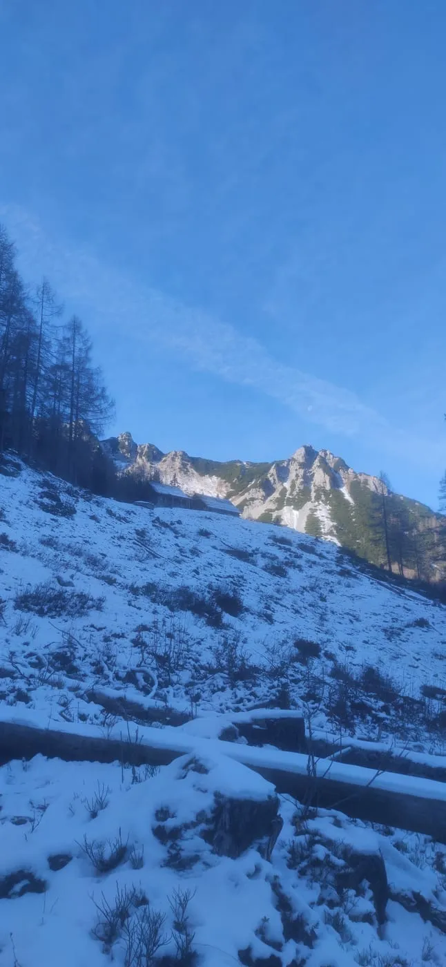 Mannsberg (1603m) - ein Juwel