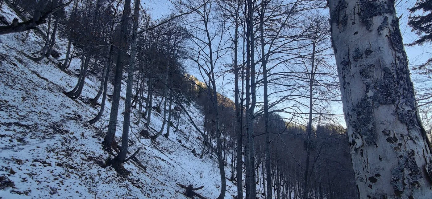 Mannsberg (1603m) - ein Juwel