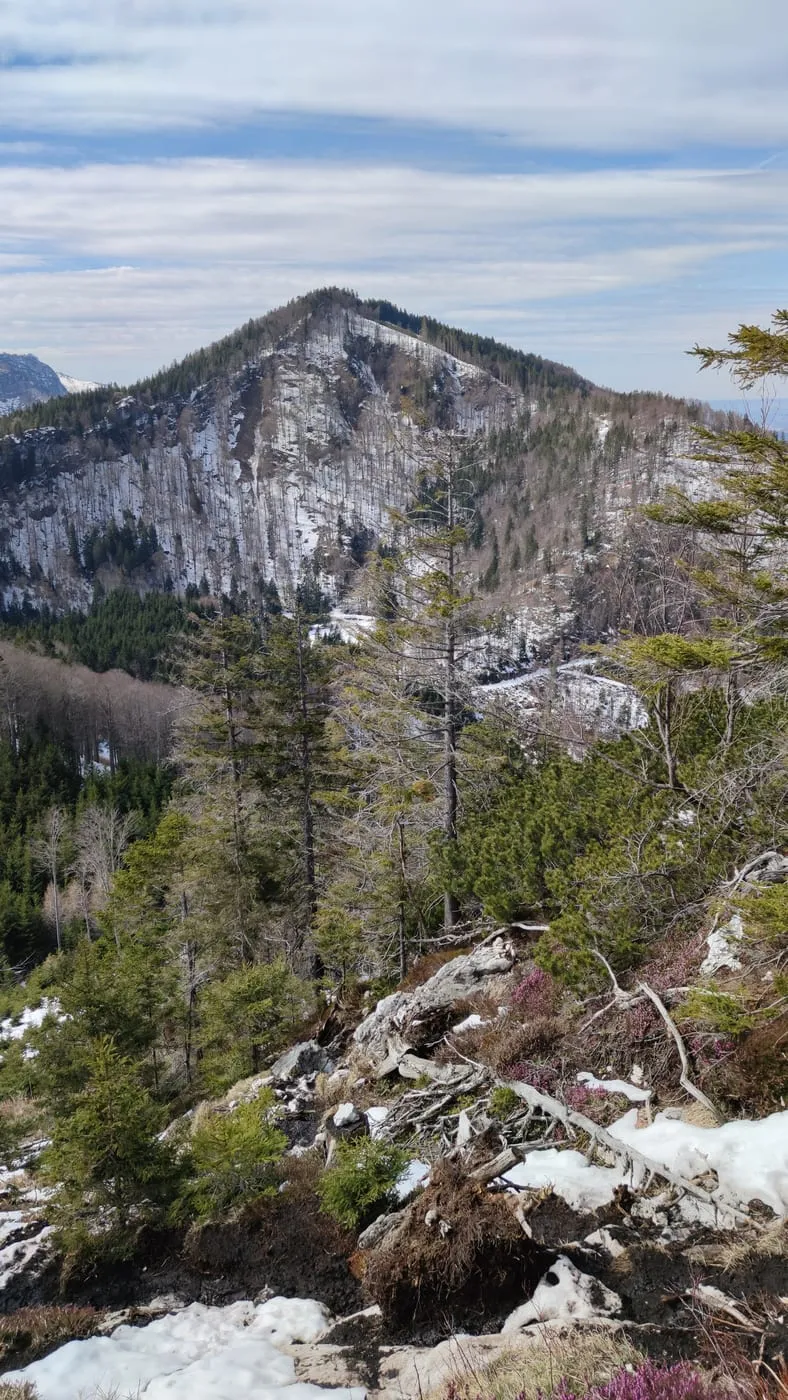 Mittagsstein (1260m)