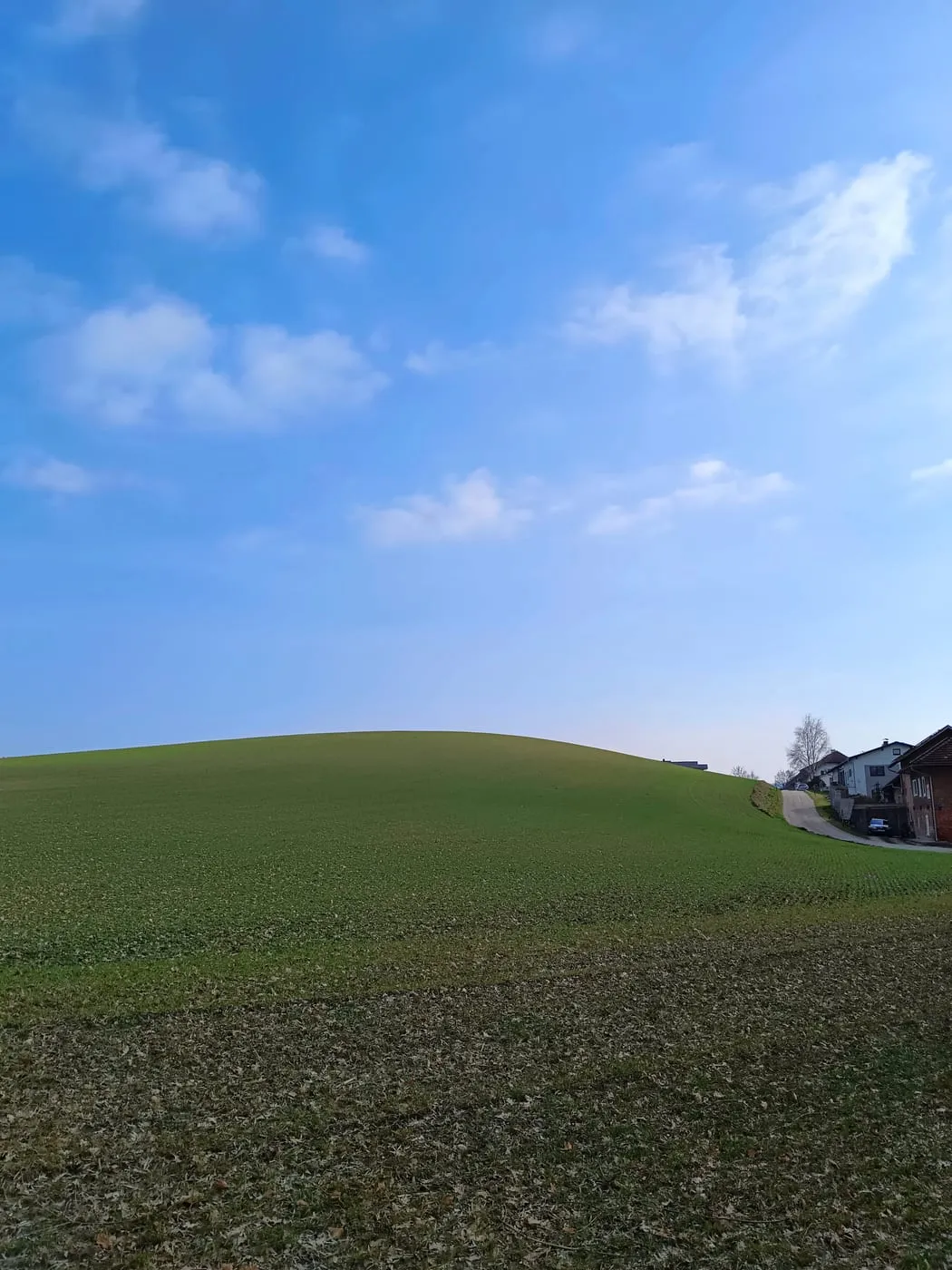 Mitziberg (331m)