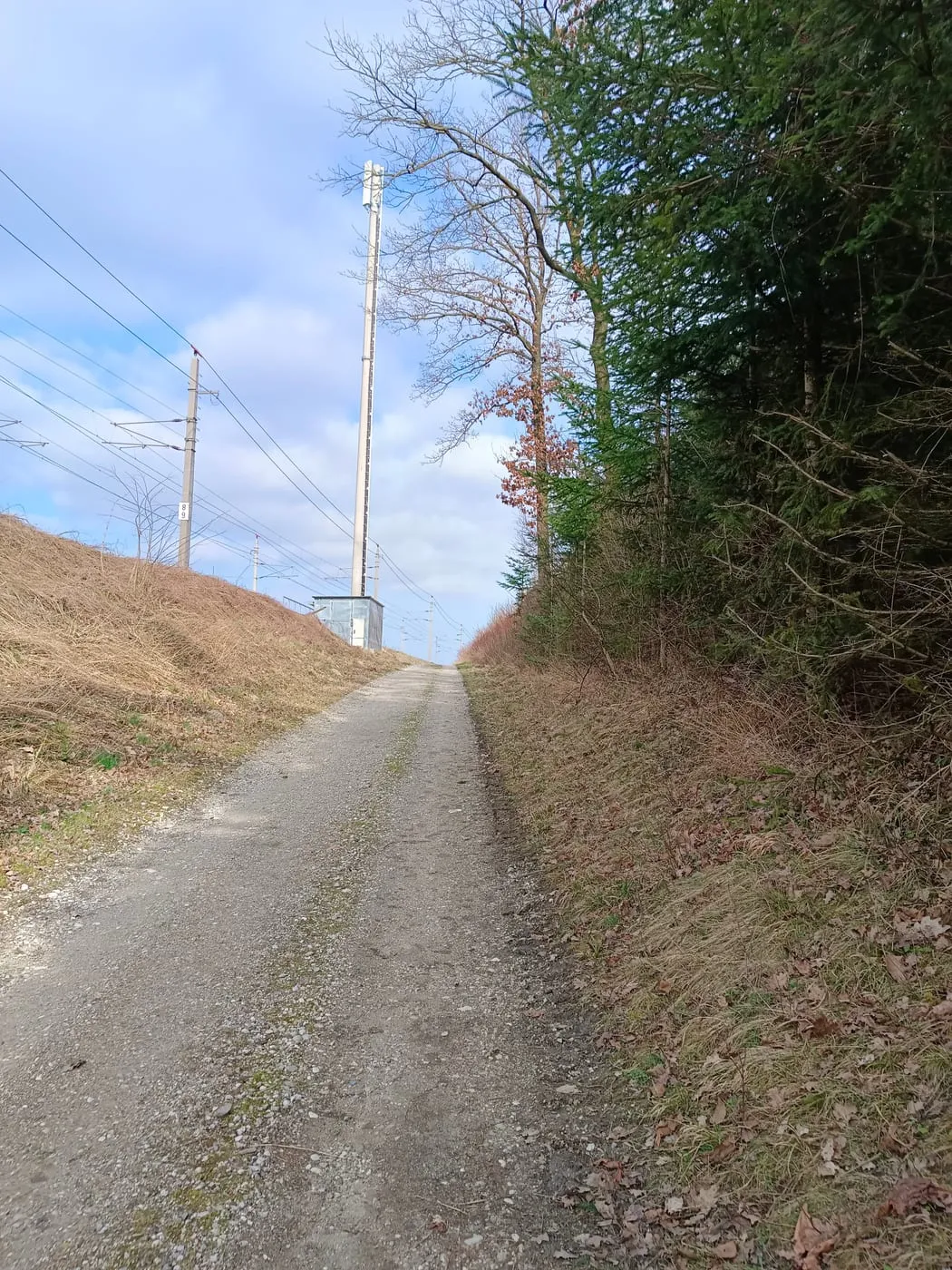 Mitziberg (331m)
