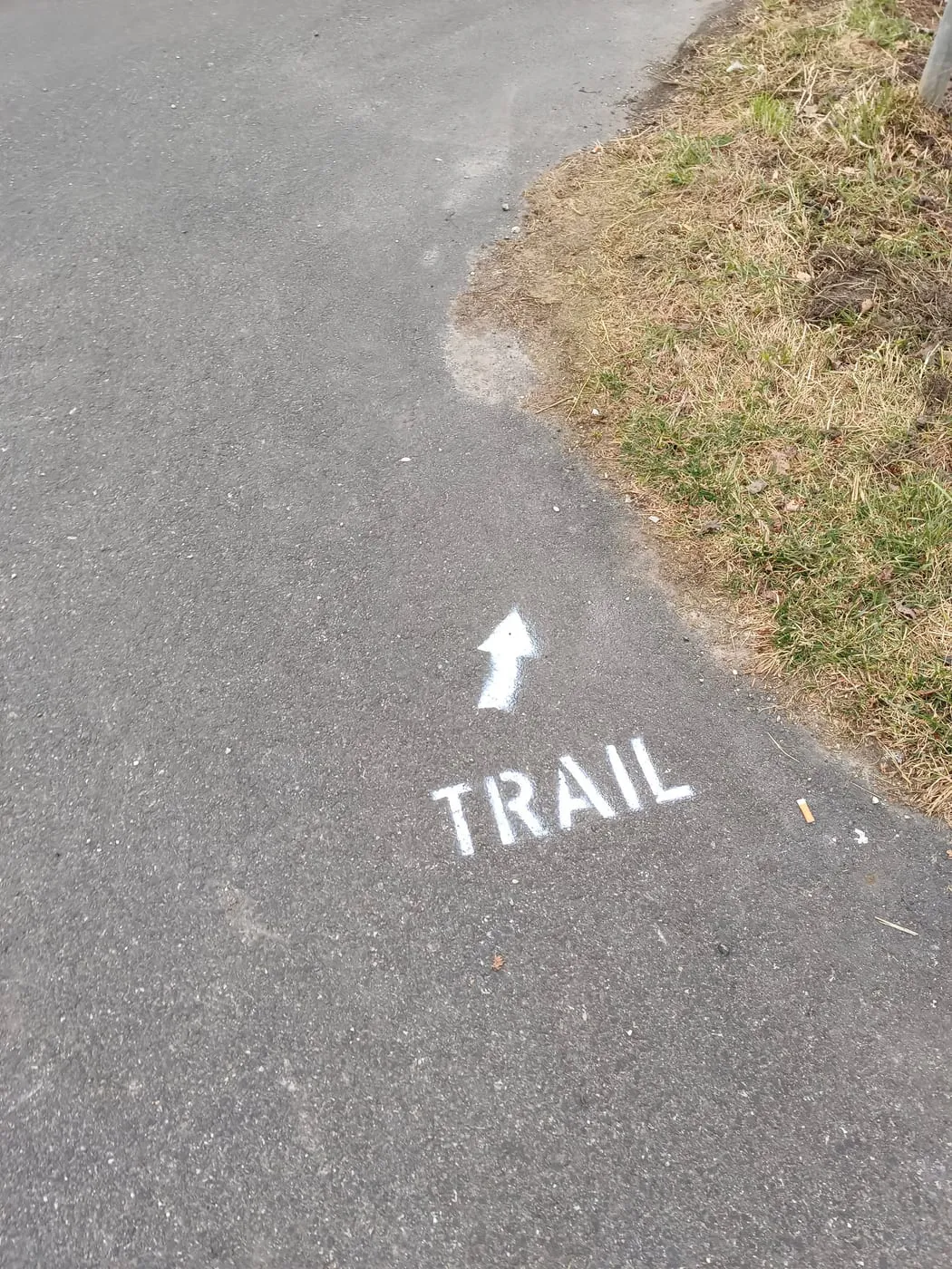 Diese Straße rauf!