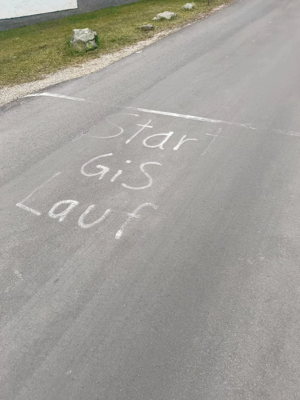 Diesen Waldpfad rauf!