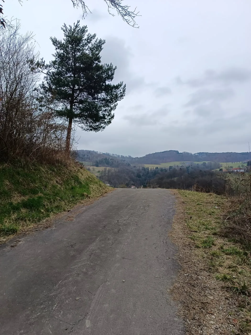 Immer dem Wald entlang