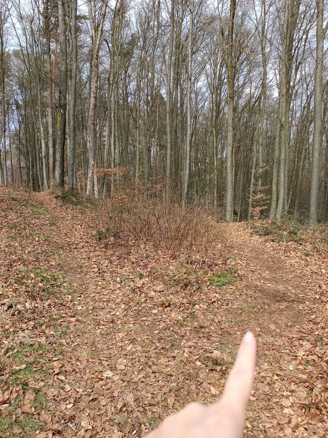 Gipfel gefunden!