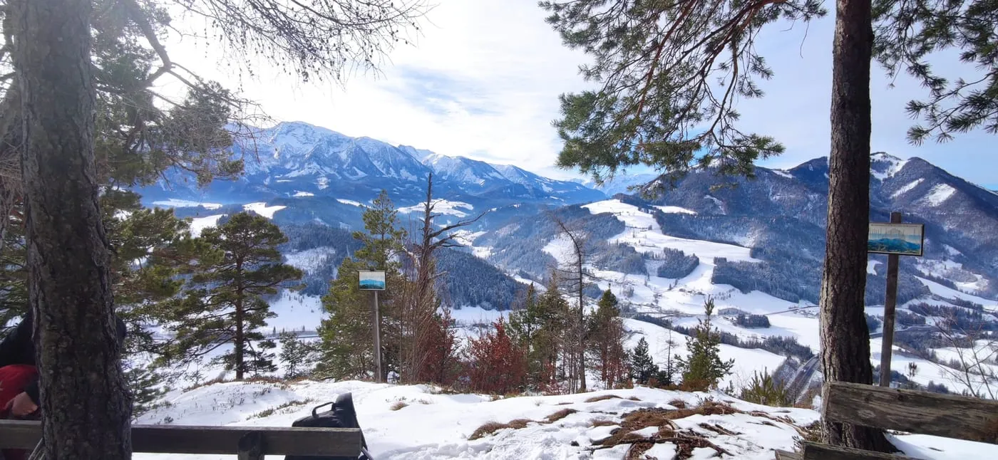 Radingstein (901m)