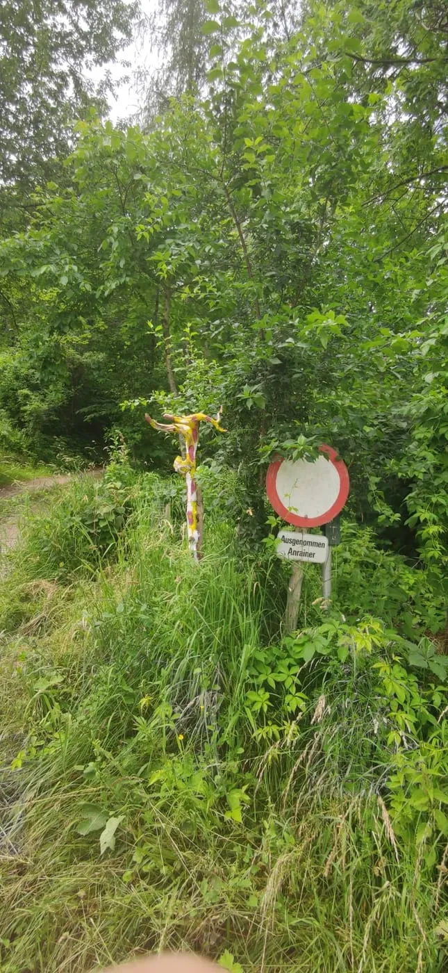 Weg zum Schrabachauer Kogel