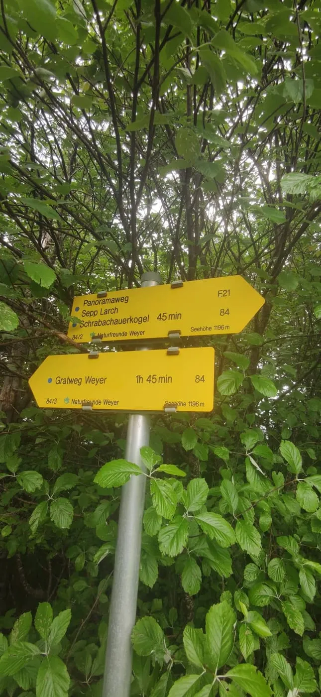 Rückweg am Beginn!