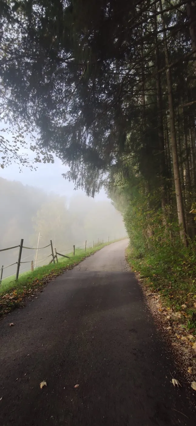 Hier komme ich raus!