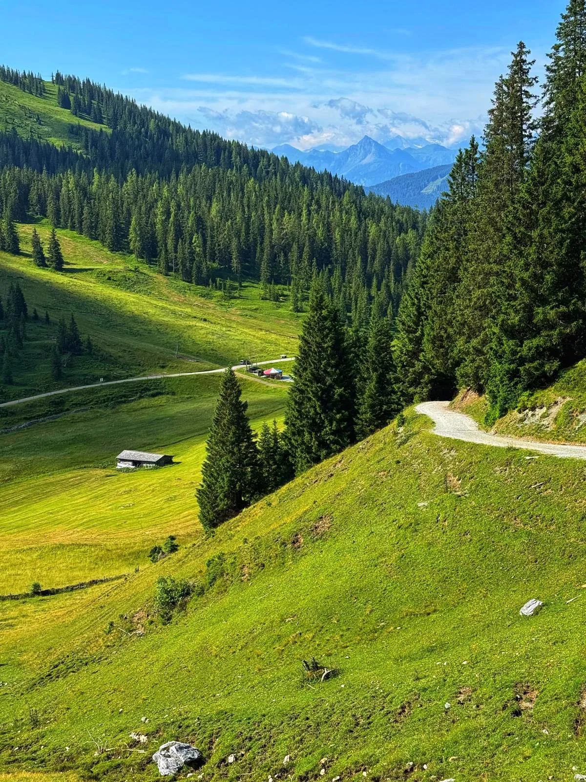 Riedingalm & Riedinger Wasserfälle – Naturjuwel am Hochkönig
