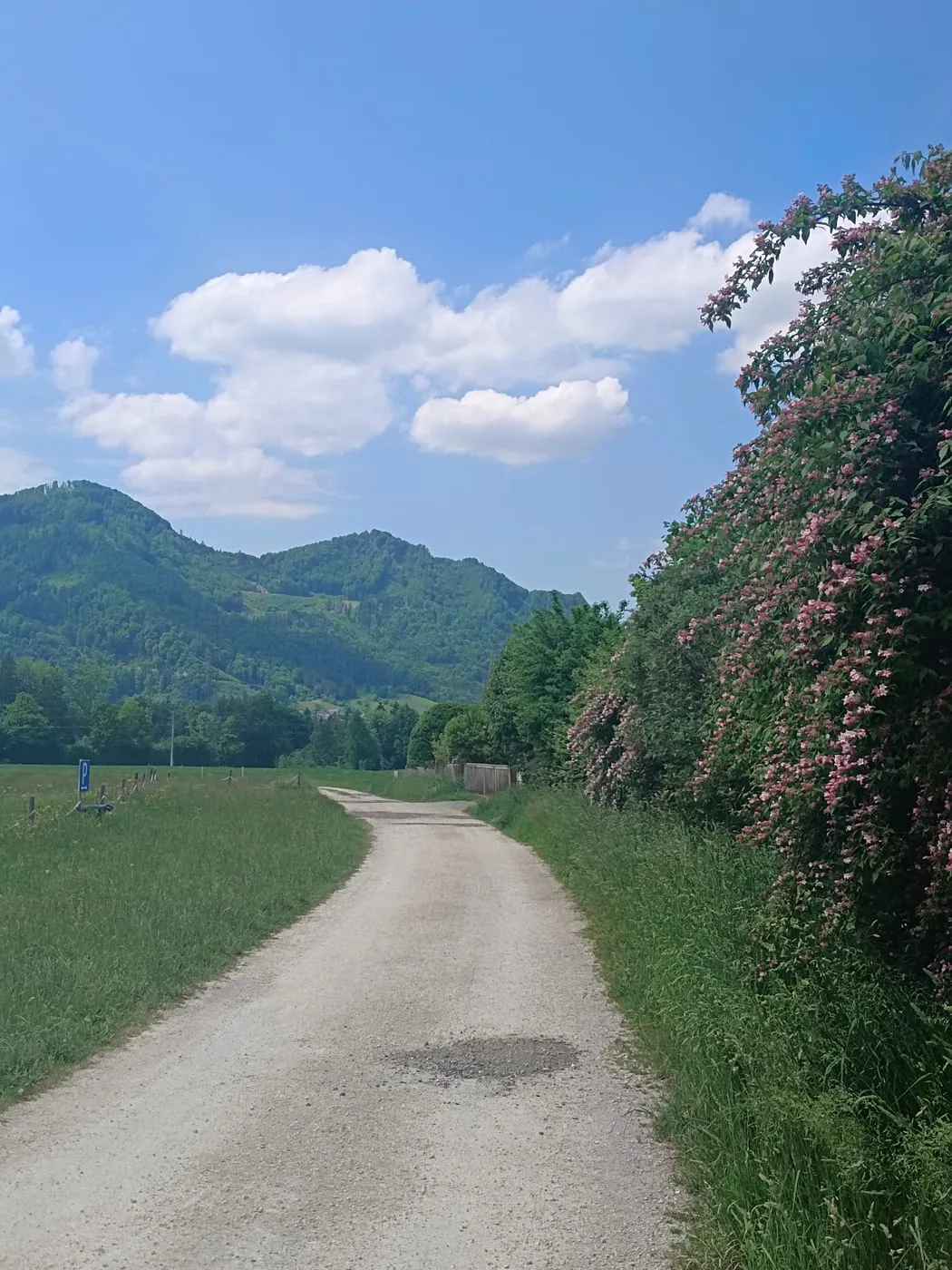 Rinnende Mauer in Molln