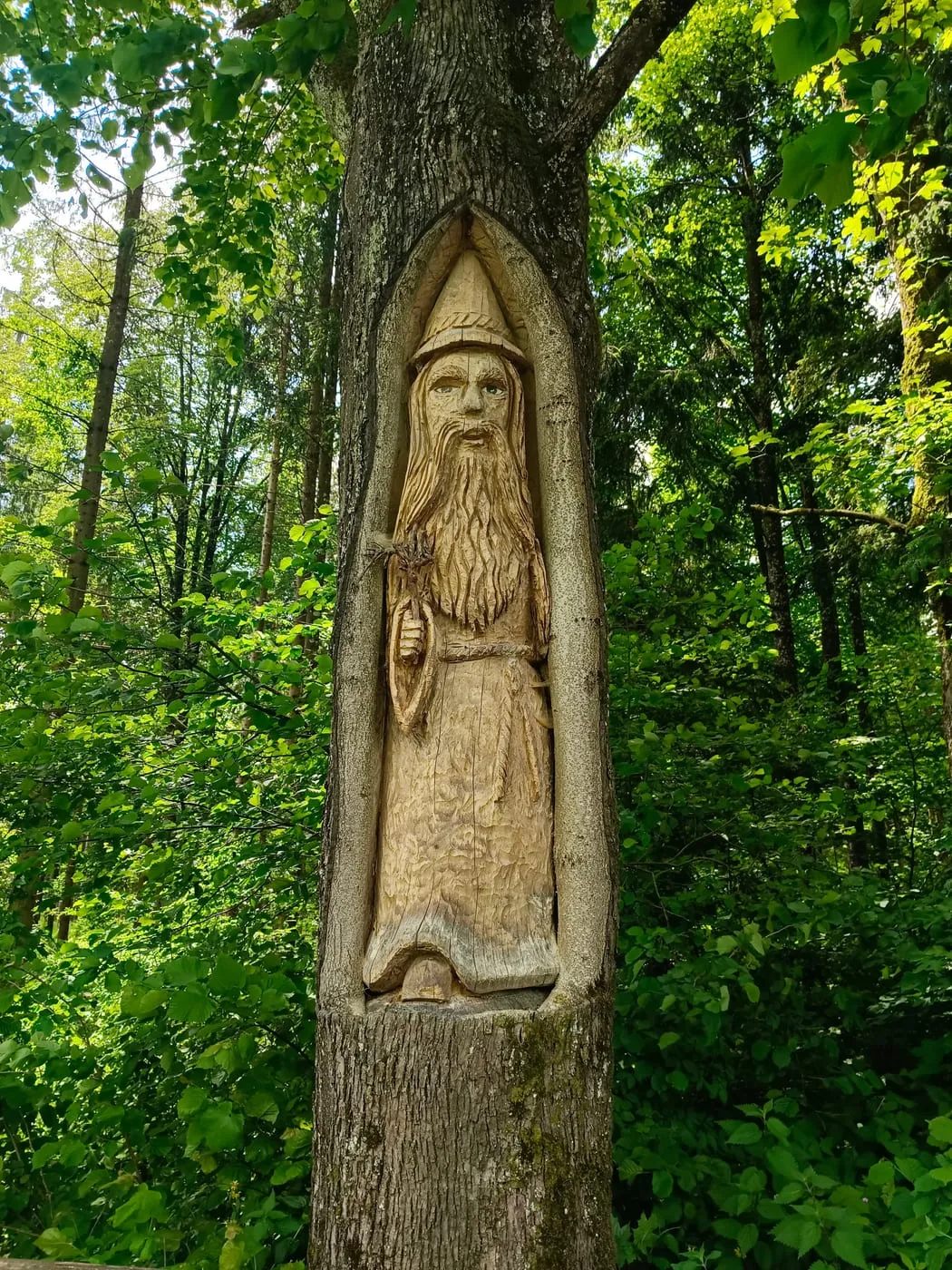 Rinnende Mauer in Molln
