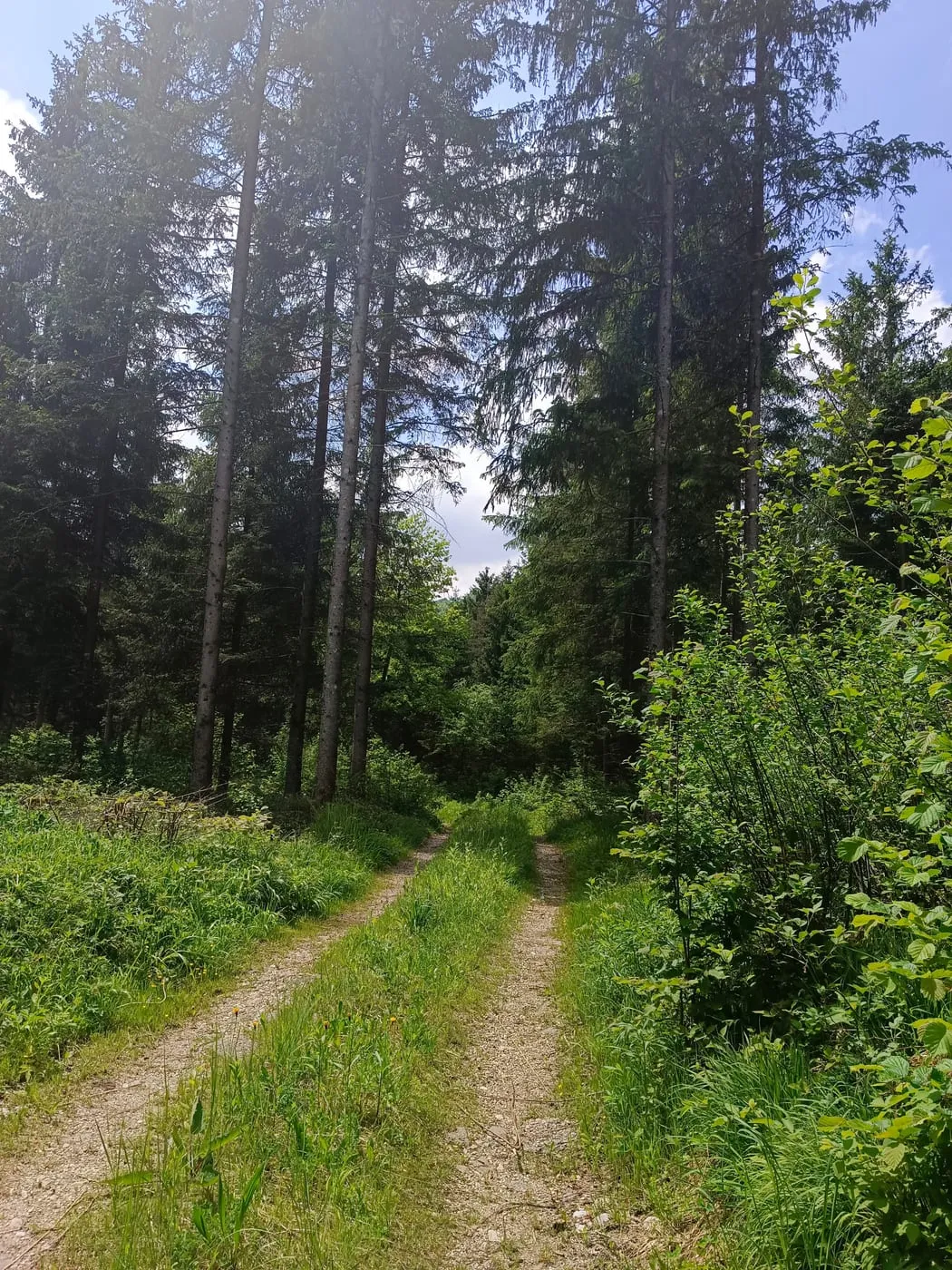 Rinnende Mauer in Molln