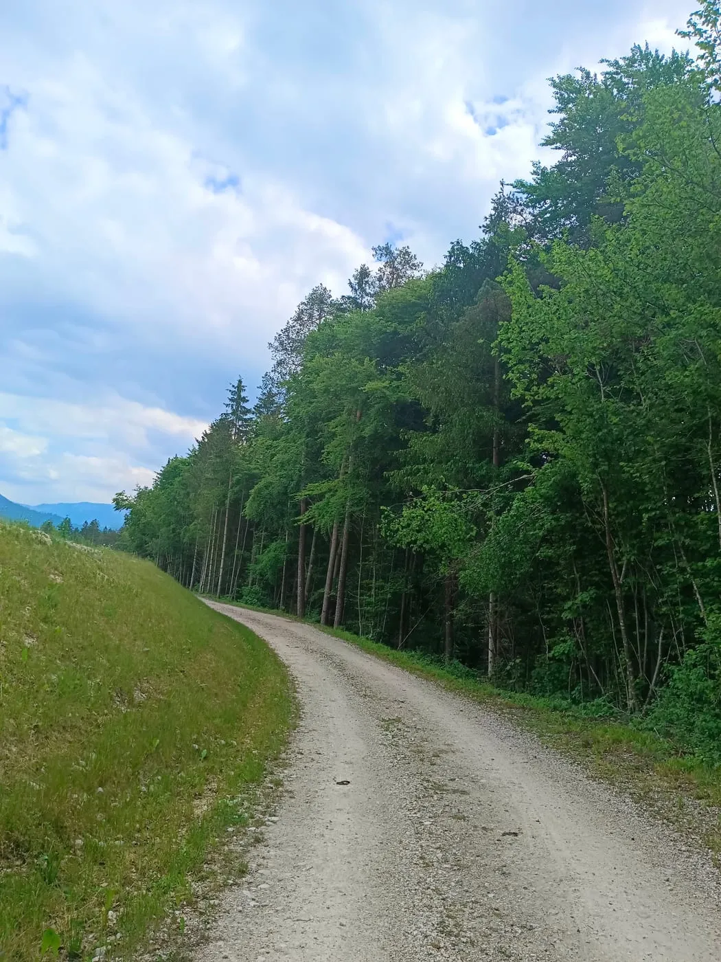 Rinnende Mauer in Molln