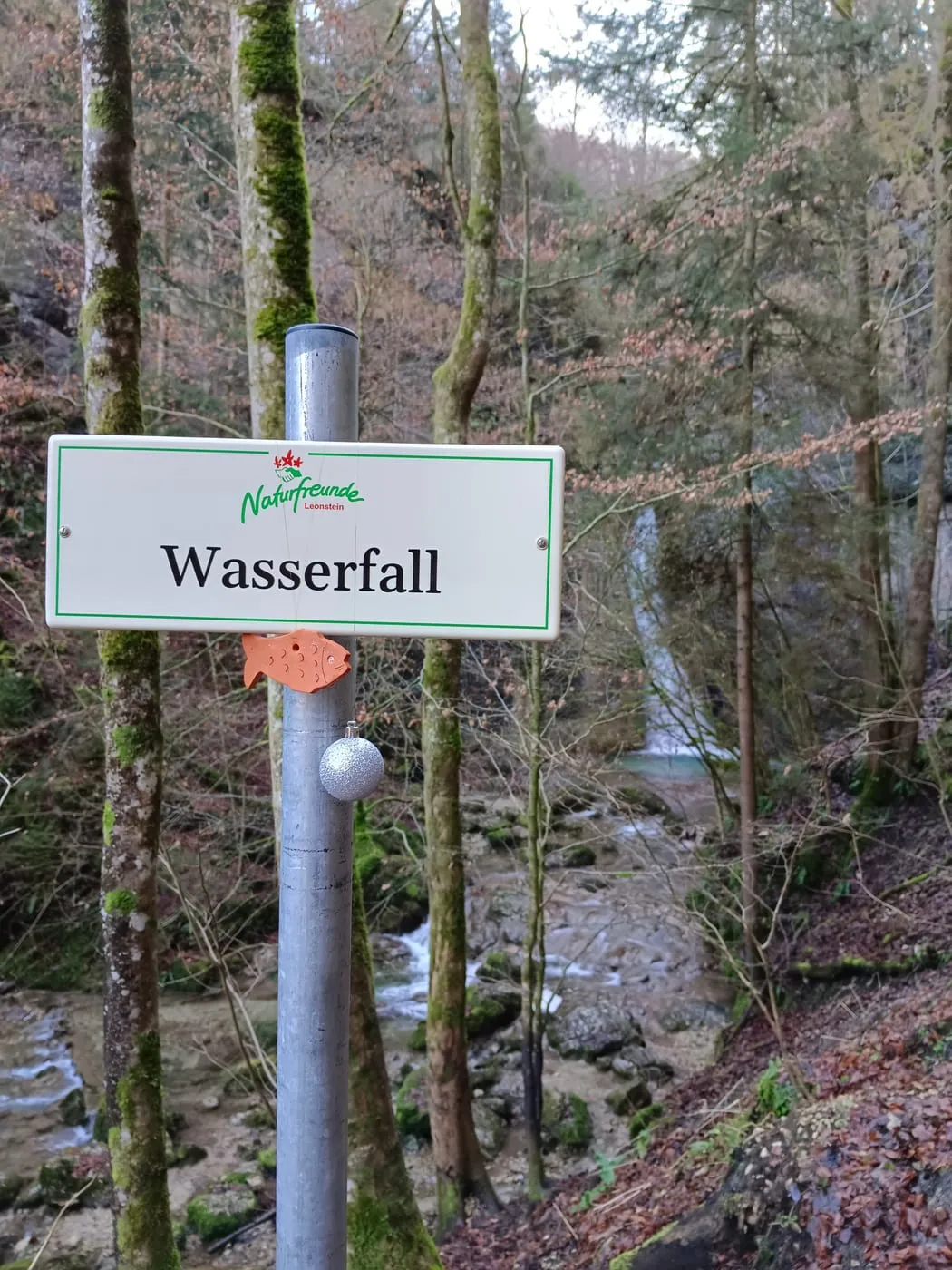 Rinnerberger Klamm, Wasserfall & Rinnerberg (878m)