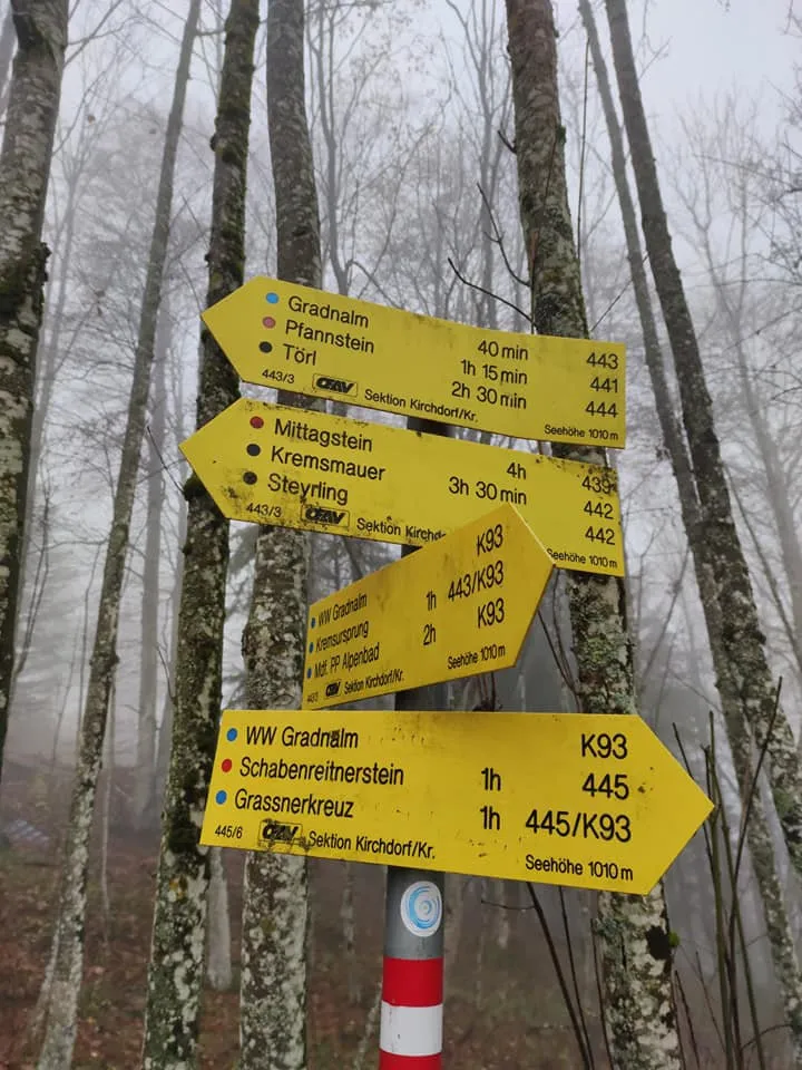 Schabenreiterstein (1143m) - Gradnalm (1240m) & Pfannstein (1423m)