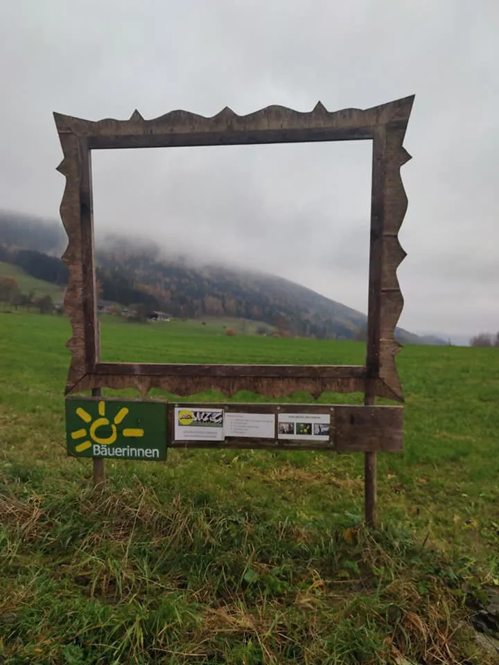 Schabenreiterstein (1143m) - Gradnalm (1240m) & Pfannstein (1423m)