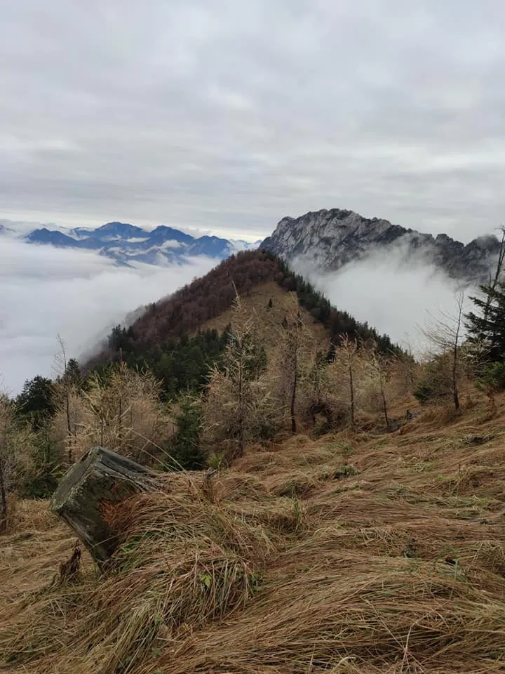 Schabenreiterstein (1143m) - Gradnalm (1240m) & Pfannstein (1423m)
