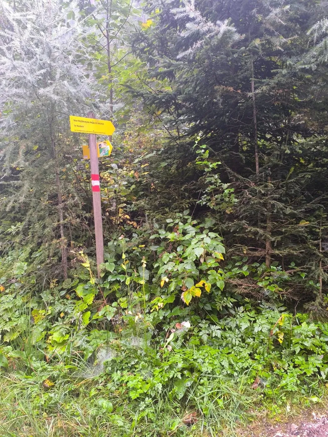 Düstere Stimmung