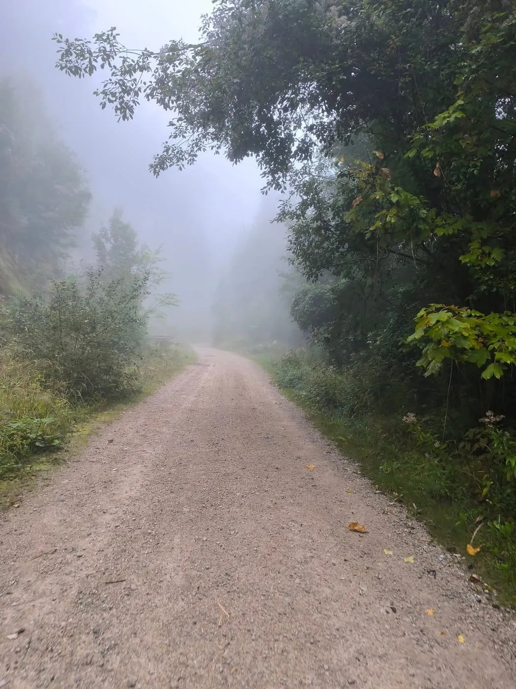 Natur pur!